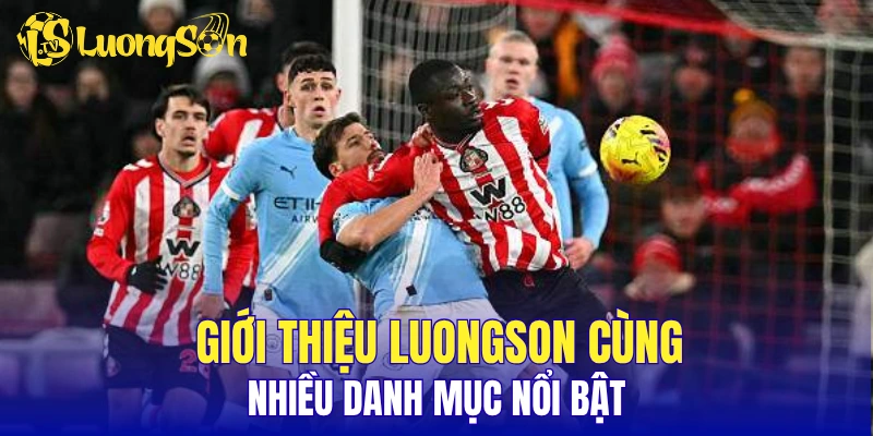 Giới thiệu LuongSon cùng nhiều danh mục nổi bật